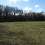 West Wickham Common and Hayes Common