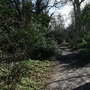 West Wickham Common and Hayes Common