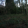 West Wickham Common and Hayes Common