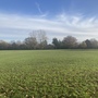 Alexandra recreation ground