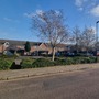 Willow Walk Estate