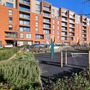 Colindale Gardens