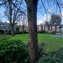 Muriel Street Estate