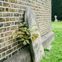Hounslow Cemetery