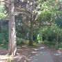 Church House Gardens
