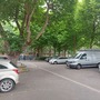 Alexandra Garden's Estate