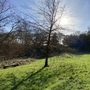 Greenspaces (Kingston University)
