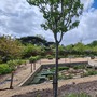 Kitchen Garden (Chiswick House & Gardens)