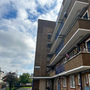 Elmington Estate