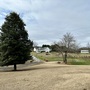 Prospect Farms