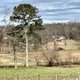 Prospect Farms