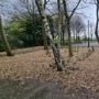 Birchmere Park unit base