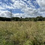 Waterworks Nature Reserve