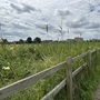 Walthamstow Marshes