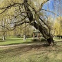 Raphael Park