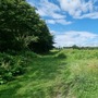 Cornmill Meadows & Wood