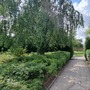 Waltham Abbey Gardens