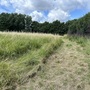 Britannia Meadows
