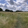 Britannia Meadows