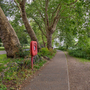 Canbury Gardens