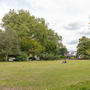Canbury Gardens