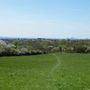 Bedfords Park