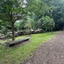 Strawberry Hill House - The Wilderness Woodland Walk