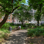 Red Lion Square Gardens