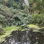 Crystal Palace Park - Secret Garden
