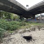 Westway Trust - Disused Area