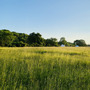 Sevenoaks Campsite & Meadow
