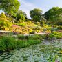 Surrey Gardens 