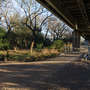 Boston Manor Park - Flyover