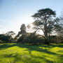 Boston Manor Park