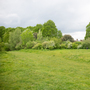 Aveling Fields