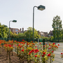 Holland Park - Tennis / Netball Court