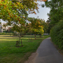 Holland Park - Main Lawn