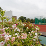 St Mary's University - Sports Facilities