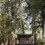 Contemporary Cabin in Wooded Mill Valley