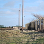 RAF Bawdsey