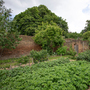 Chiswick House - Kitchen Garden