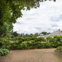 Chiswick House - Conservatory