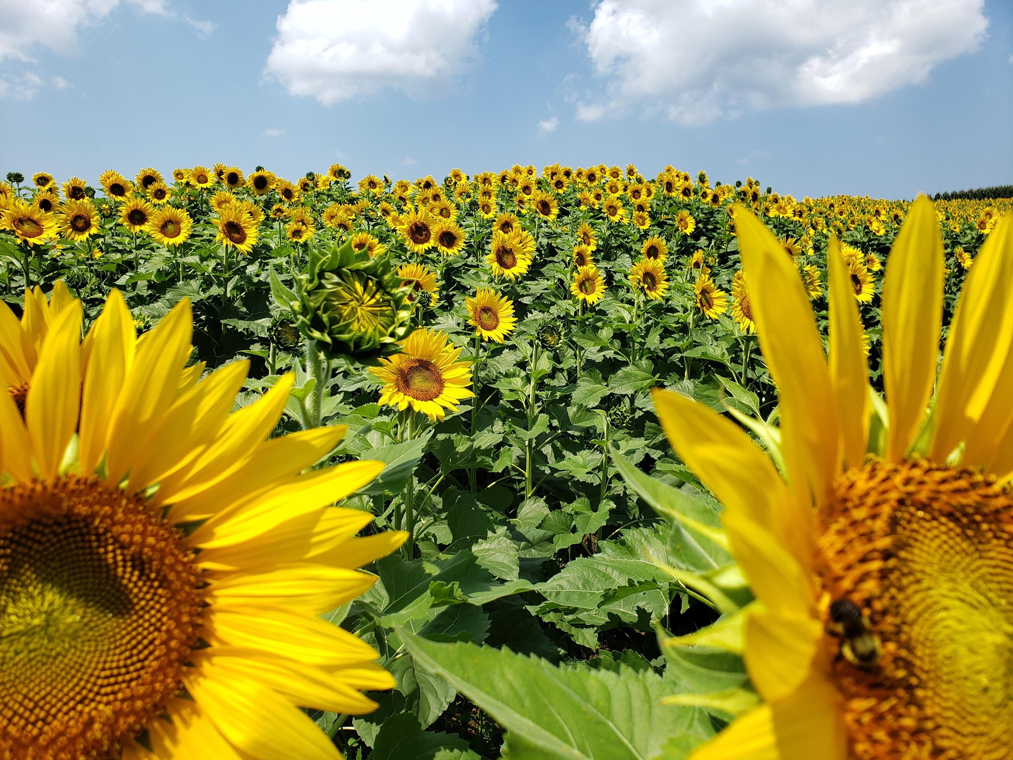 Locations Hub - Flat Rock Ranch