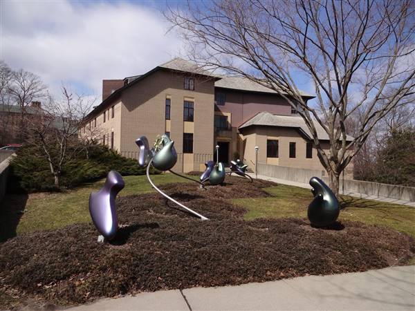 Cold Spring Harbor Laboratory
