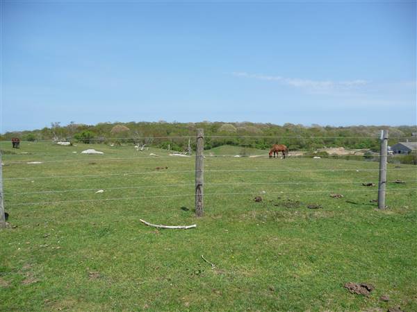 Montauk Downs State Park Golf Course