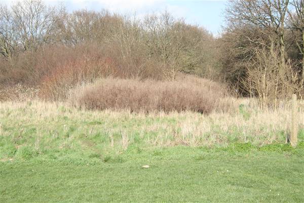 Parkfield Recreation Ground