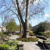 Canonbury Square