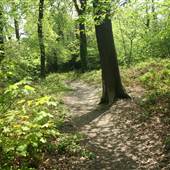 Beaulieu Heights