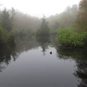 Quogue Wildlife Refuge