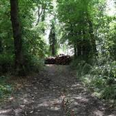 Sanderstead Plantation